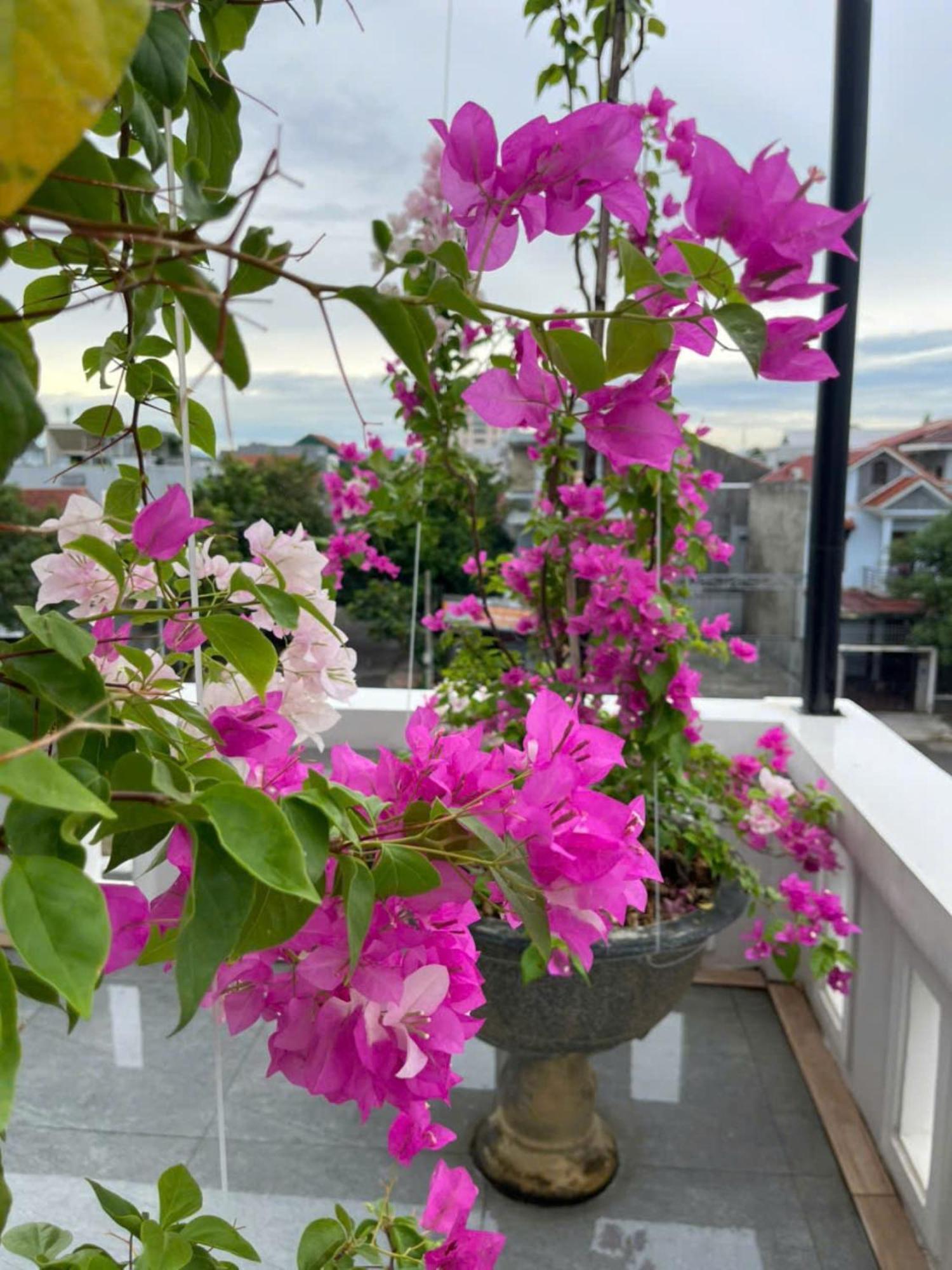Nhat Long Homestay Hue Exteriér fotografie