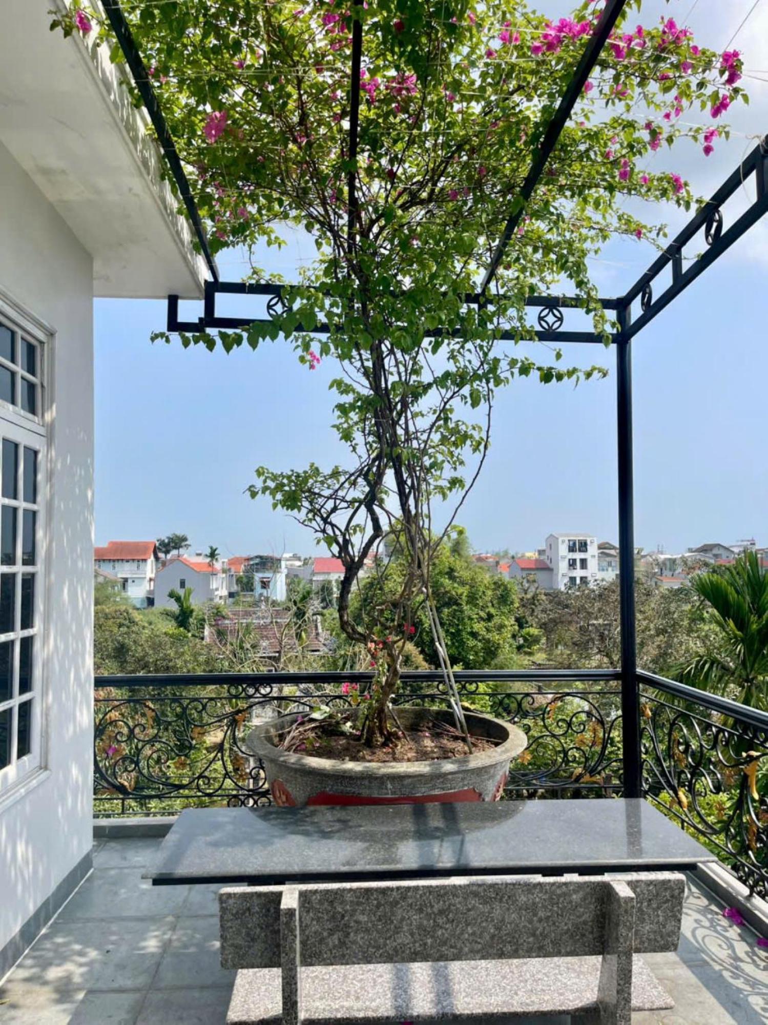 Nhat Long Homestay Hue Exteriér fotografie